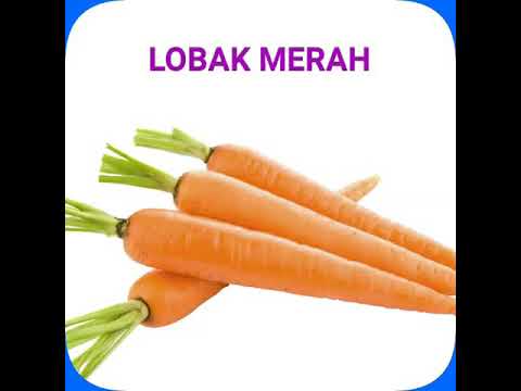  Mari  Mengenal Sayur  Sayuran YouTube