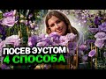 ВЫРАЩИВАНИЕ ЭУСТОМЫ ИЗ СЕМЯН - 4 способа посева, которые дадут 100% всхожесть