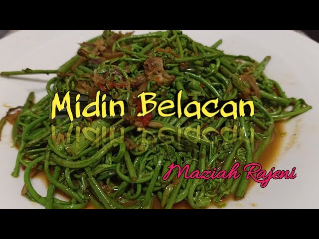 Midin belacan