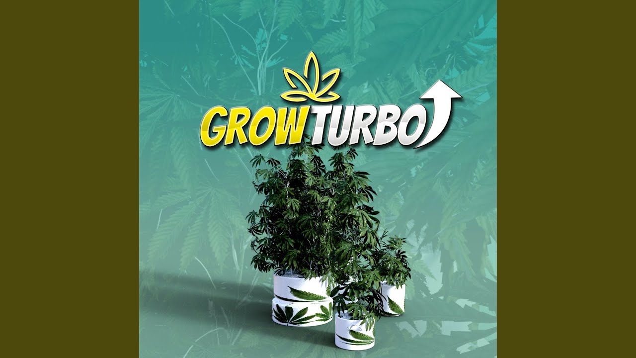 Grow Turbo Weed Music