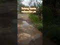 Jalan tanggul irigasi #fypシ゚viral #trending #shortvideo #dangdut #irigasi #jalan #alam #musikhiburan
