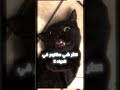 ارحمهمم بس اخاف منهم لحد يقولي ليه لان كلام الماس يخوفني منهمم 