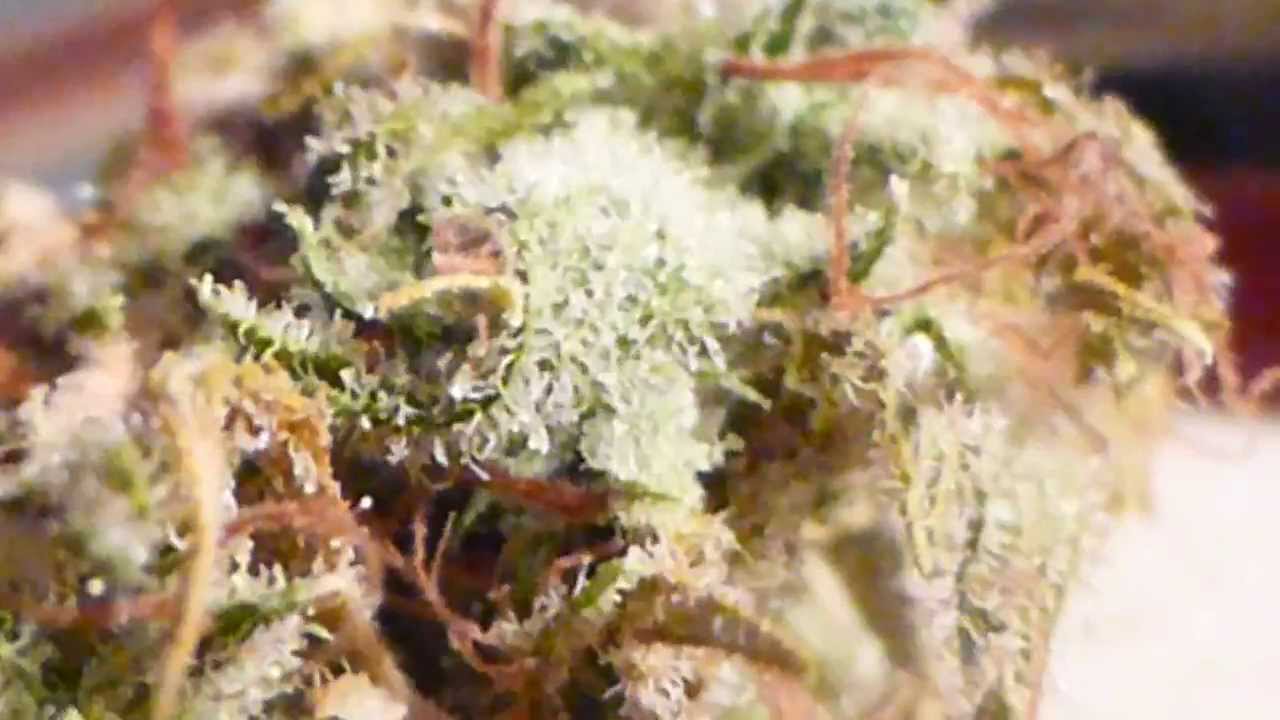 Al's Fresh & Local Produce: Cannatonic