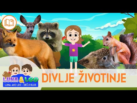 Video: Koje životinje žive u šumskoj šumi?