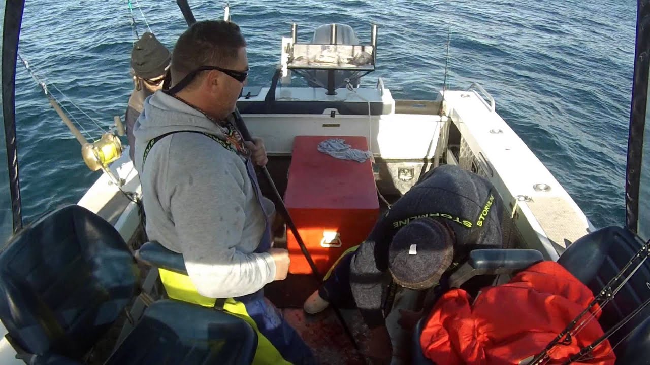 SHARK WRANGLING WITH THE BARCRUSHER BOYS AT THE SANDERS BANK SOUTH