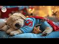 12 Hours Of Dog Calming Music 🐶 Soothing Music for Puppies 🎼 Peaceful Tunes for Healing Sleep