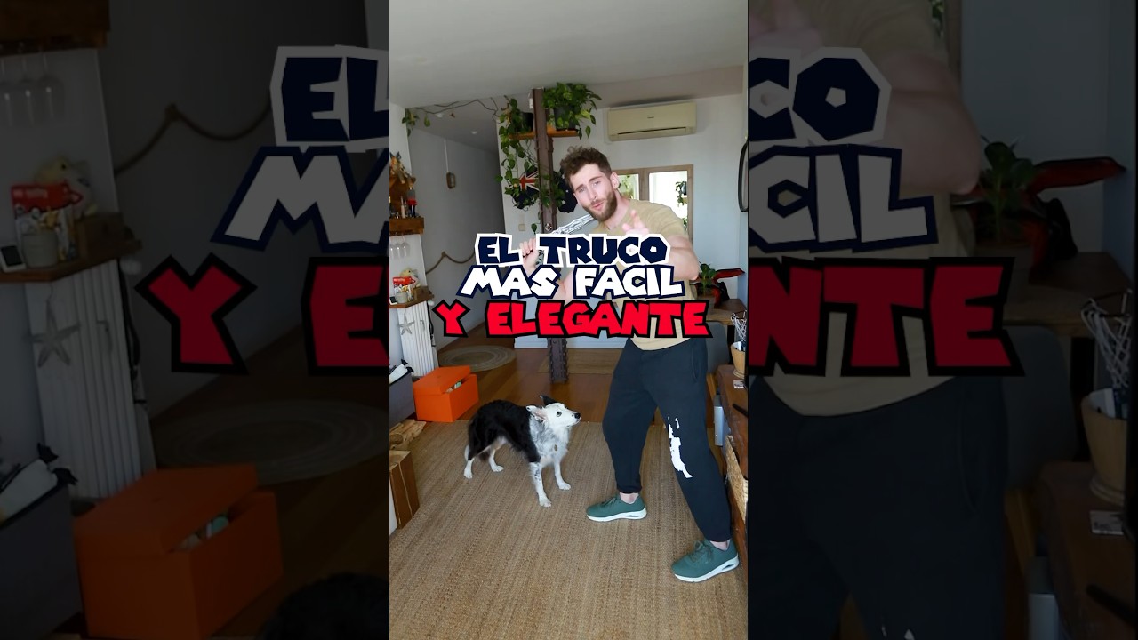 Un saludo Royal 🤴 🫅🐶 