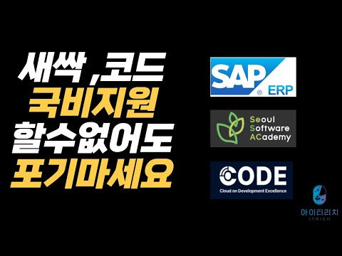 SAP ERP 국비지원 당장 못해도 취업을 빠르게 도전하는 노하우