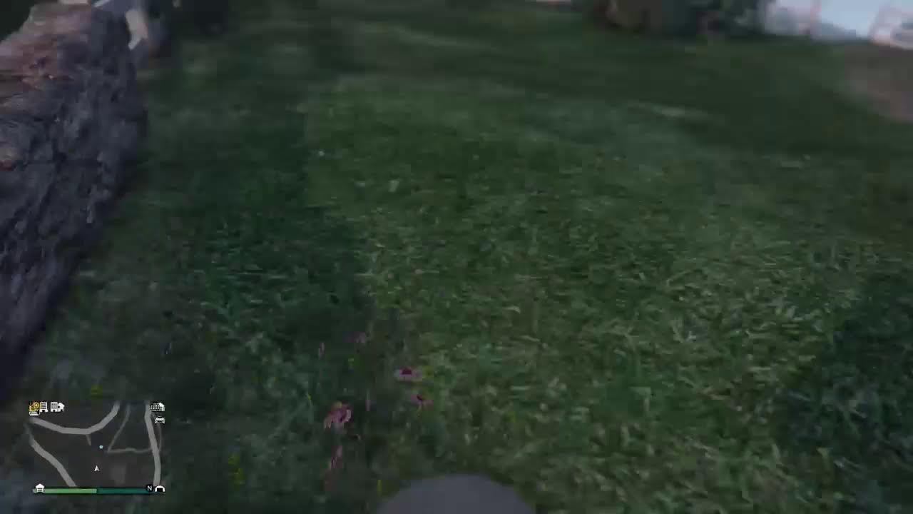 WD2 /GTA online PS4 free roam gameplay stream