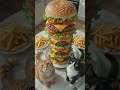 trending cat shot meow meow short trending #cats