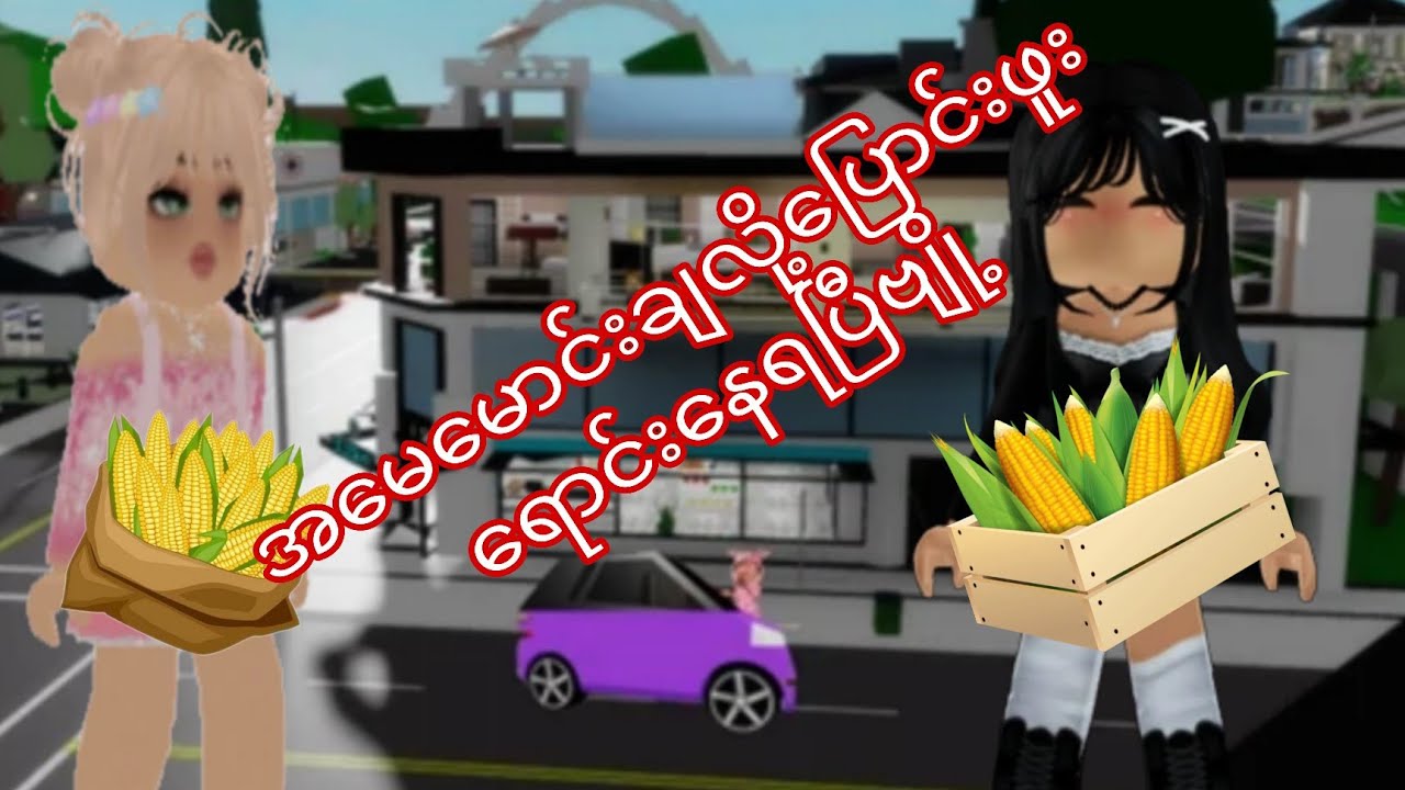 ယွန်းတို့အမေအိမ်ပေါ်ကမောင်းချလို့ပြောင်းဖူးပြုတ်ရောင်းနေရပြီဗျို့#roblox #brookhaven 