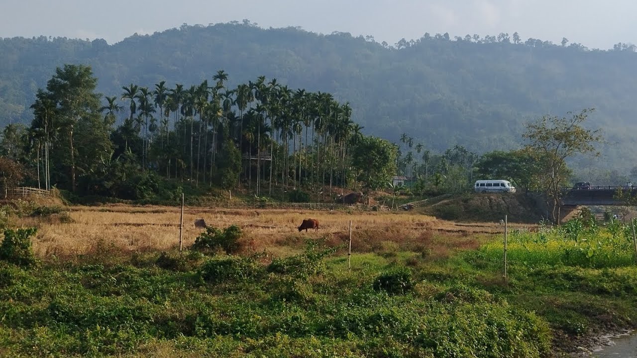 কঁহৰাত বনভোজ