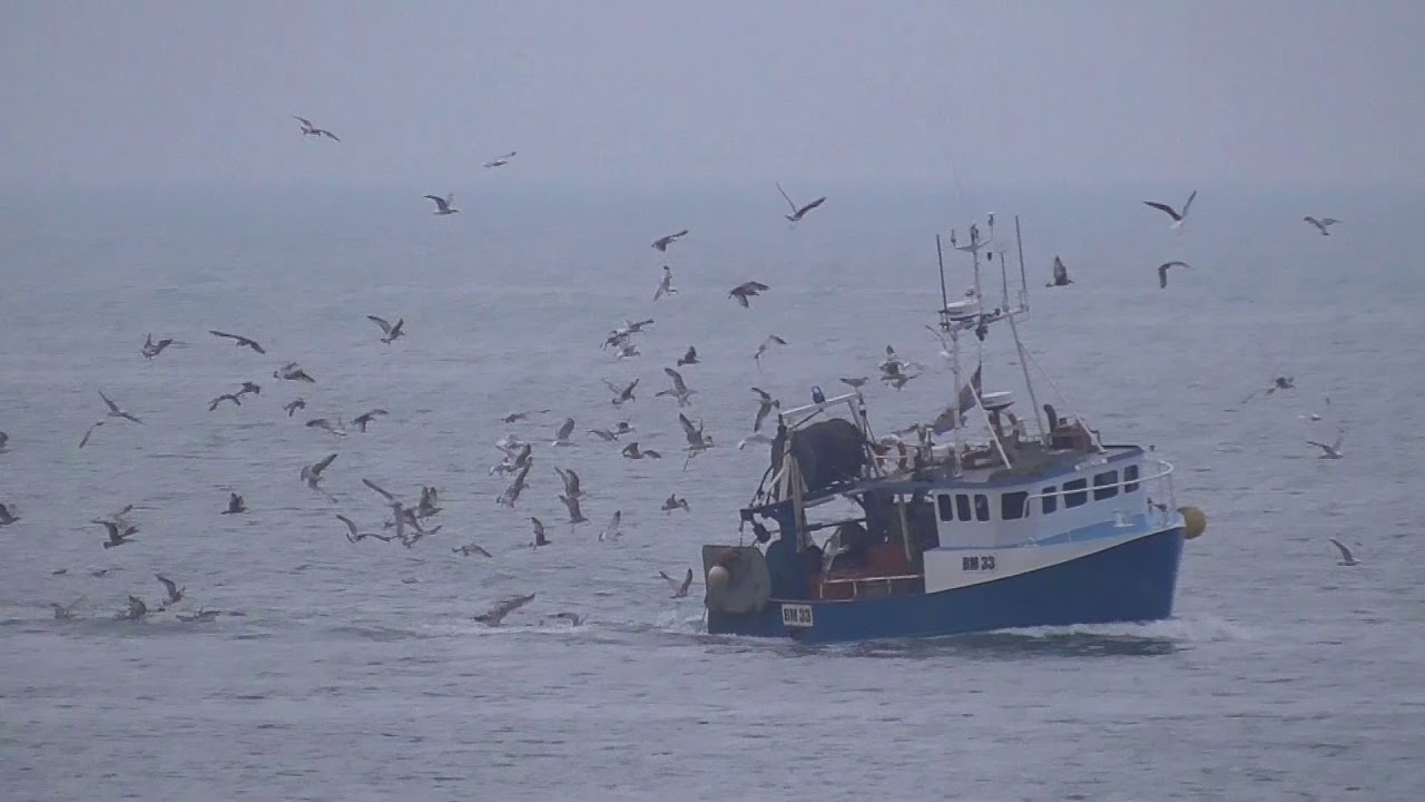 Fishing Vessel Resolute Returning To Brixham 11/04/2018 YouTube