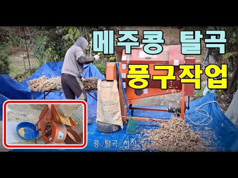 [귀촌귀농] 얼라사료믹서기,<strong>메주콩</strong> 탈곡 풍구대 작업