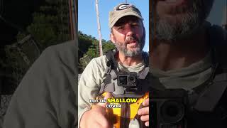 Unlock Summer Bass Fishing Secrets: Shallow Water Baits Revealed!