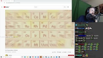 Forsen Reacts to Cat Transcendence  limitless