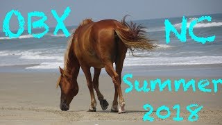Outer Banks NC summer 2018