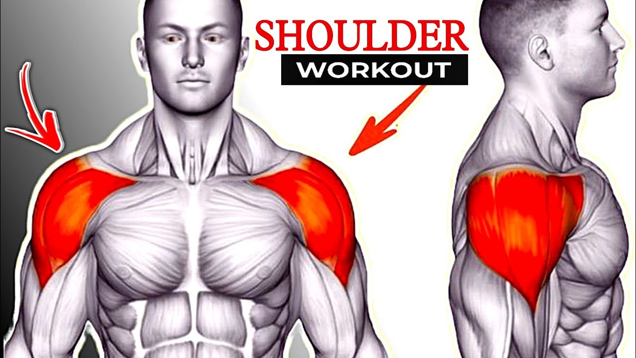 Shoulder Workout 5 Exercises That Make The Shoulder Grow Fast