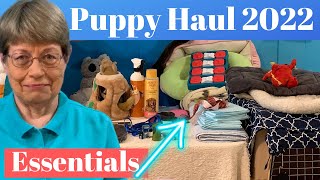 5 Puppy Haul Essentials for a Happy and Healthy New Puppy