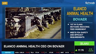 Elanco Animal Health (ELAN) CEO on Bovaer & The Importance of Reducing Methane