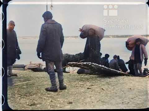 Кинонеделя № 28. 17.12.1918. Псков освобожден от немцев