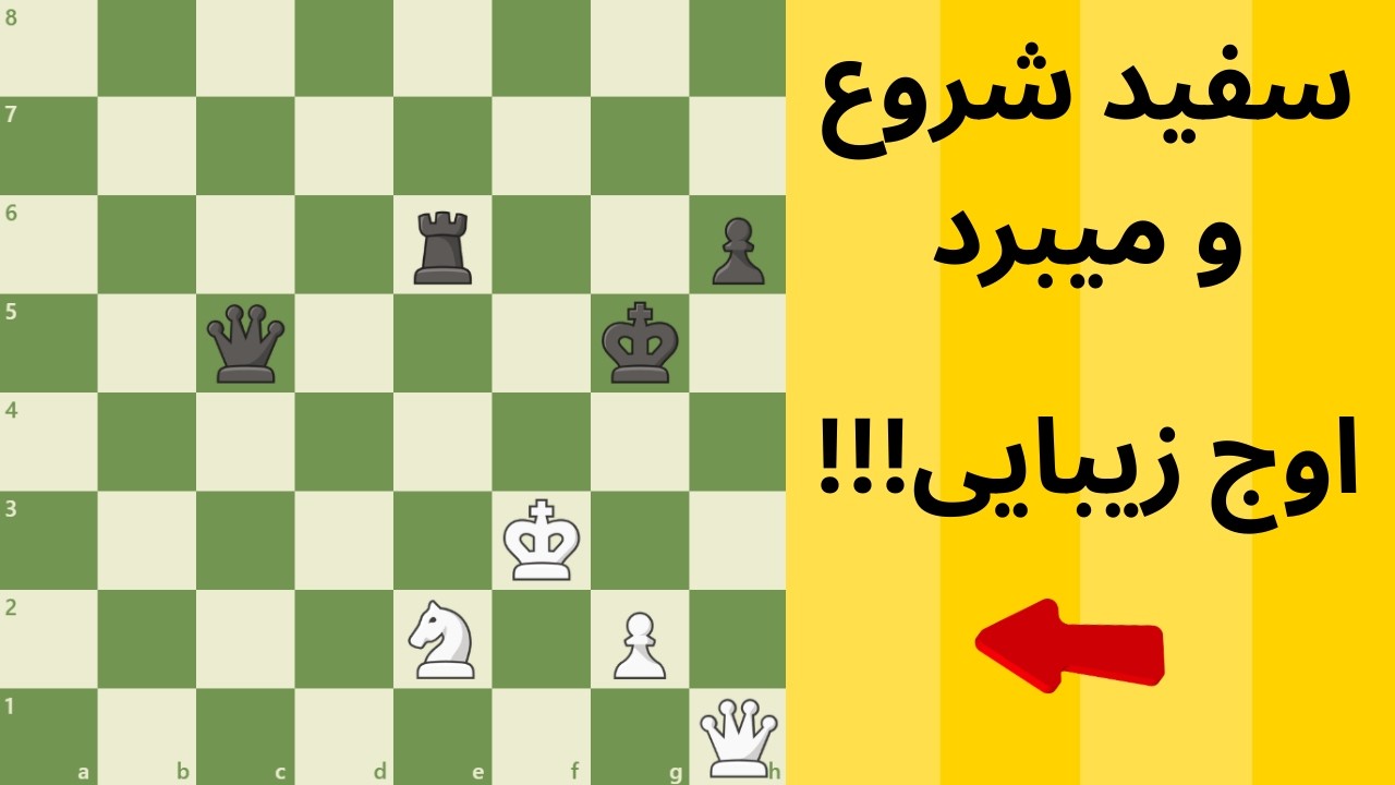 !!!سفید شروع و میبرد،،، اوج زیبائی l White Wins, Ultimate Beauty