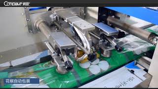 Multi-function flow packing machine for Chinese red pepper