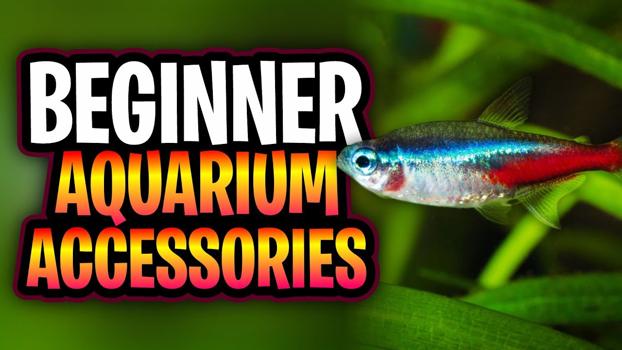 fish accessories shop & Aquatic Pets: Pet Supplies: Aquarium DÃ©cor, Aquarium Pumps & Filters, Aquarium Lights, Food & More Upgrade your aquarium setup with the HOOBRO Fish Tank Stand Aquarium Accessories Beginners Should Actually