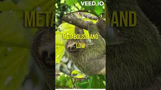 Random Interesting Facts That I Bet You Didnt Know About