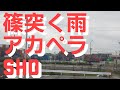 篠突く雨☔走 裕介🌠アカペラ🎙️sho✨