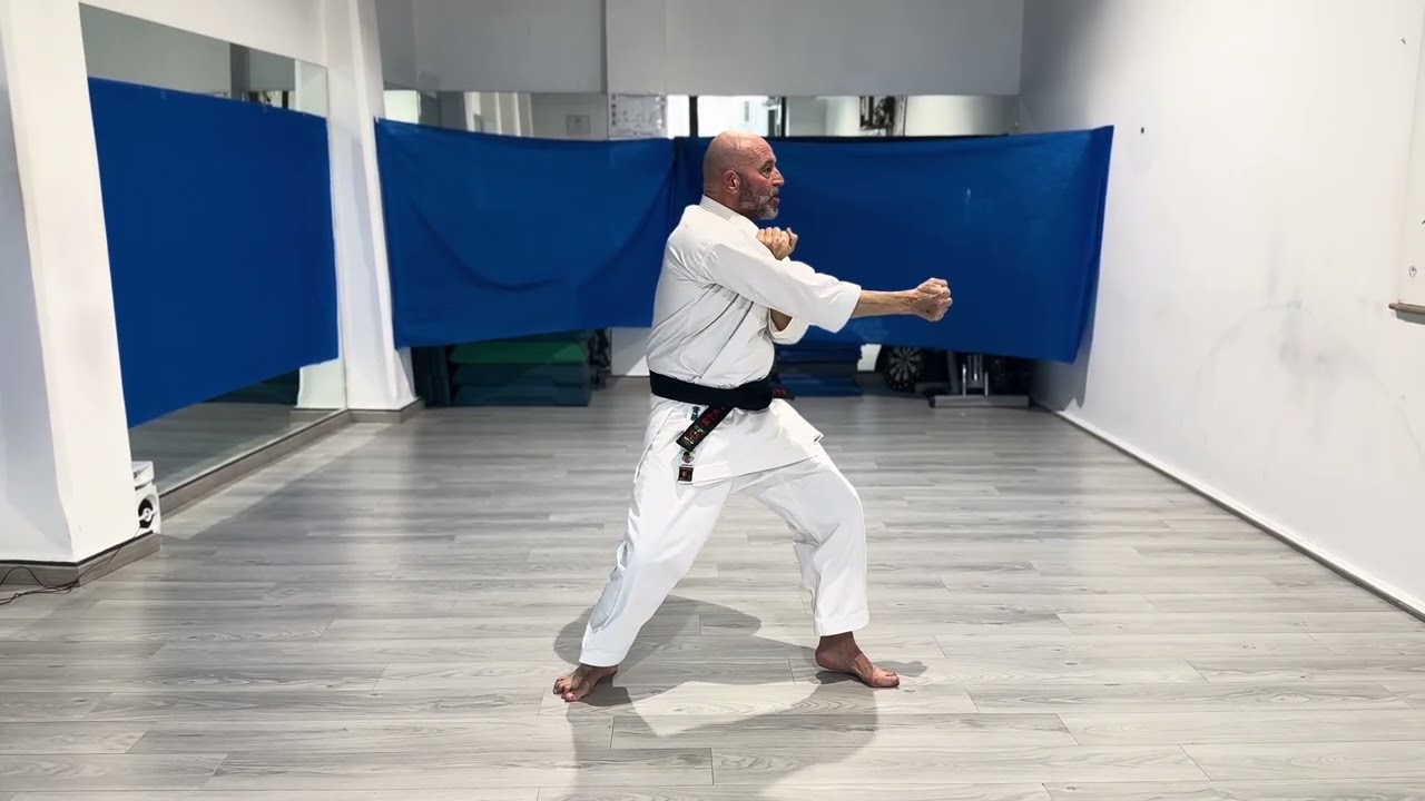 Kata Pinnan Shodan con relativa spiegazione 