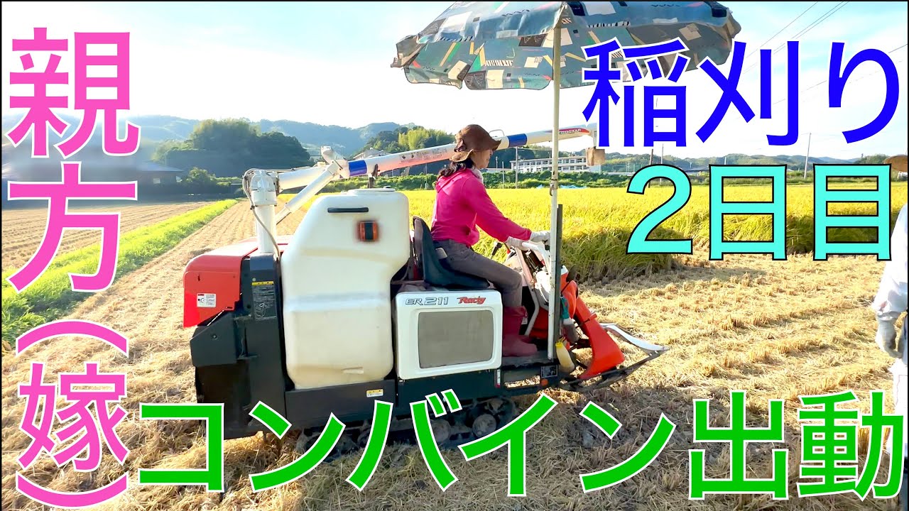 【２０２５ 米作り４４】稲刈り（二日目）は籾摺り＆コンバイン 親方が登場だぞ👍