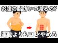 やめると嘘みたいにお腹の脂肪が減ること10選