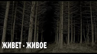 видео: ЧТО-ТО НЕ ТАК. Страшные. Мистические. Творческие истории. Хоррор картинка: ЧТО-ТО НЕ ТАК. Страшные. Мистические. Творческие истории. Хоррор