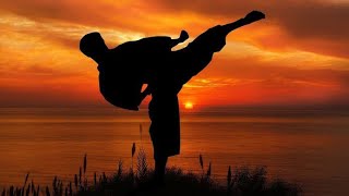 6 basic kicks of shotokan karate