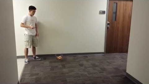 Flone Project Demo - CS 3651