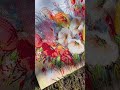 Abris Art Delicate Flowers Beaded Embroidery Kit at Herrschners.com