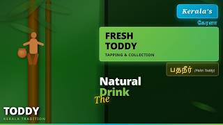 பதநீர் I Natural Alcohol I Toddy tapping method used in palm trees in Kerala I India I Tamil