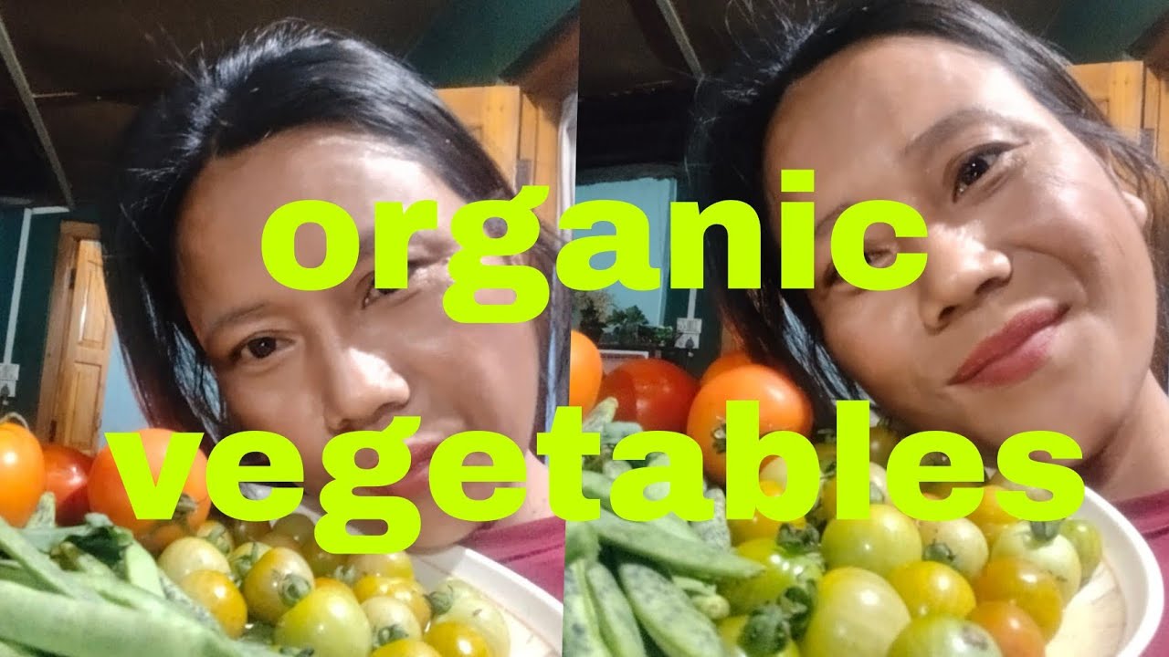 Went to collect organic vegetables with ekhyo yan naga family village lifestyle 