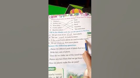 class-2,evs,ch-13,exercise