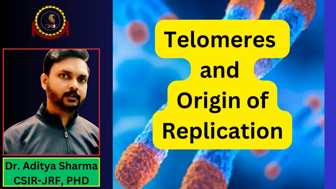 Telomeres and Origin  of Replication || For CSIR NET EXAM 2024-2025|| By Aditya Sharma