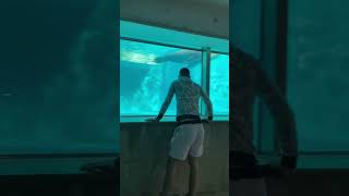 Čola u životinjskom carstvu😂 #fyp #balkan #shorts #tb #2021