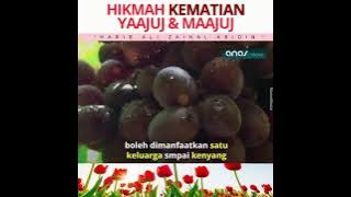 Habib Ali Zaenal Abidin  - Hikmah kematian yaajuj & maajuj