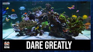 Week 12: BRS 360 - It Took 20 Years To Learn These Four lessons  | 52SE Reef Tank #8