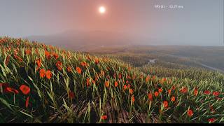 OpenGL - a small walk at sunset