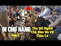 Chợ Hàng Hải Phòng - Nơi bán chó mèo con giống đủ loại lớn nhất Việt Nam | Check in Hải Phòng