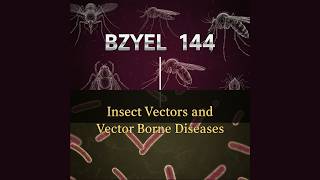 BZYEL 144 IGNOU EXP BSCG | PRACTICAL FILE  | ZOOLOGY | Insect Vectors and Vector Borne Diseases