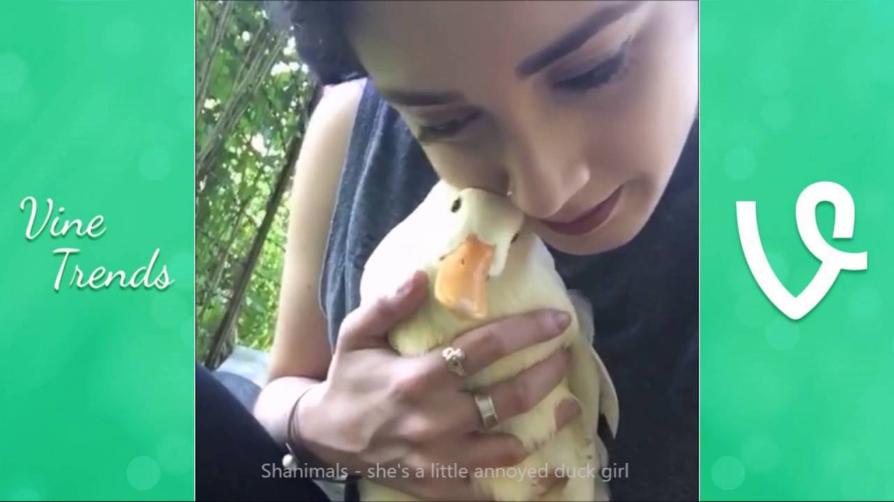 Cute/Trending Vines of June 2016 (Vine Compilation)