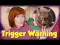 TW: THIS IS CRUEL TO DO TO A HAMSTER! | Luz Rescue Story | Munchie's Place