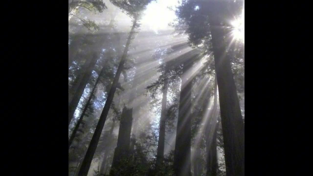 *free* indie folk + sad acoustic guitar type beat - "sidewalk"